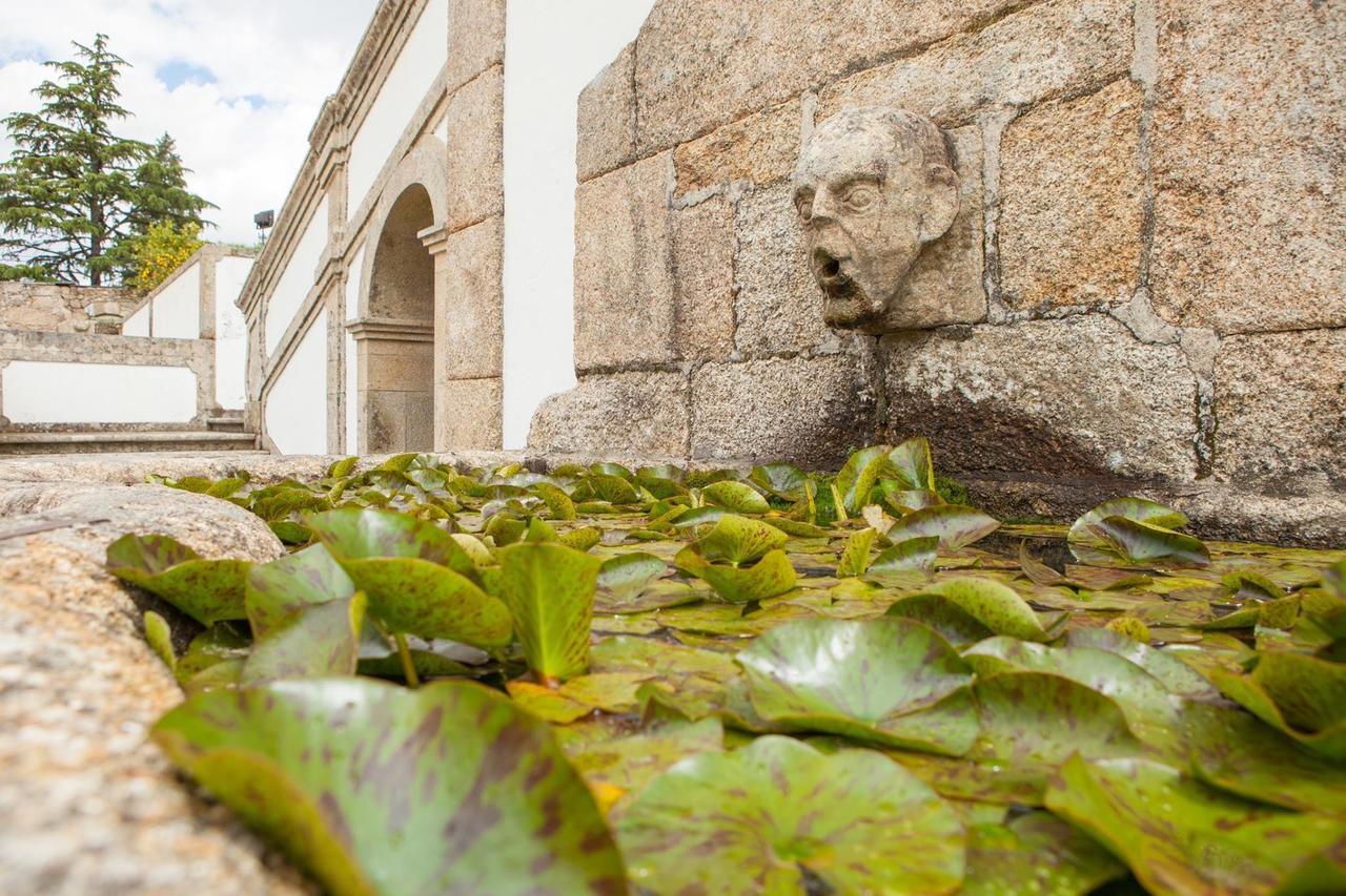 Casa De Quinta Villa Marco de Canavezes Екстериор снимка